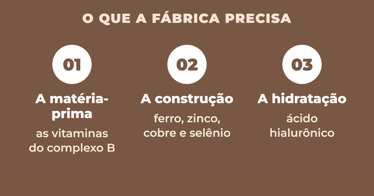 Matéria-prima, construção e hidratação